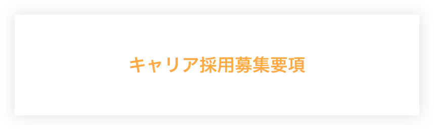 キャリア採用募集要項