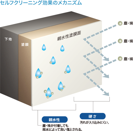 イメージ画像